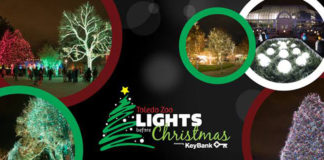 Lights at the toledo Zoo!