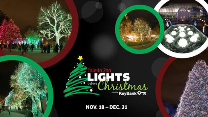 Lights at the toledo Zoo!