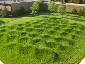 Photo by University of Michigan.