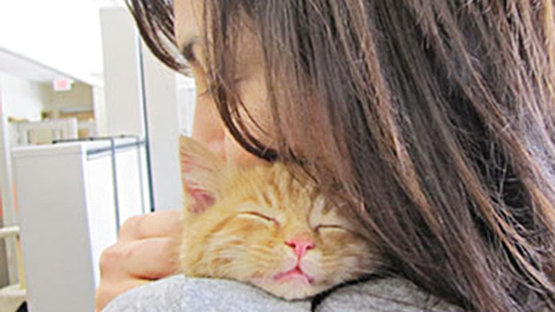 Photo-Credit-Huron-Valley-Humane-Society_150