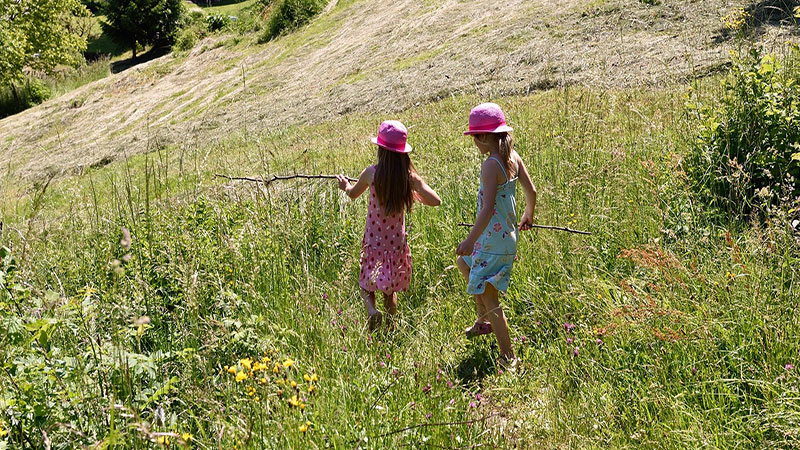 children-802332_1920