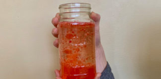 Science STEM activity