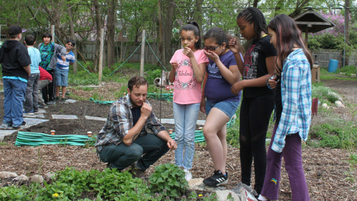 Students from Mitchell Elementary smell fresh herbs in the garden with their teacher Mr. Popkey