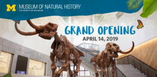 re-opening of the University of Michigan Museum of Natural History