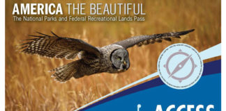 People with disabilities eligible for free, lifetime National Parks access