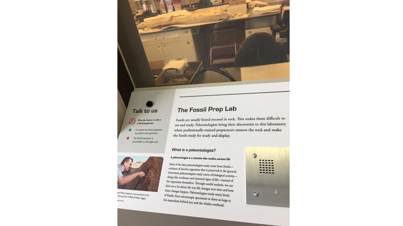 fossil-lab