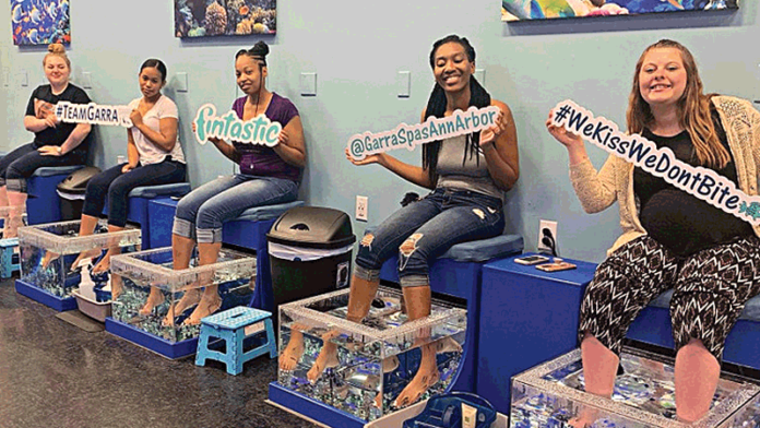 Garra Rufa fish have arrived at Briarwood Mall