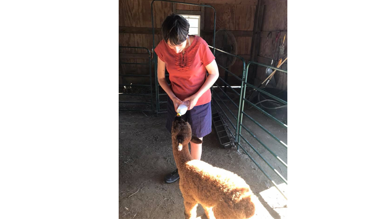 Renee Vinciguerra helps at the Craft Guild and Fiber Mill