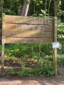 Eberwhite Woods entrance on Liberty St. Image courtesy of Theresa Frasca.