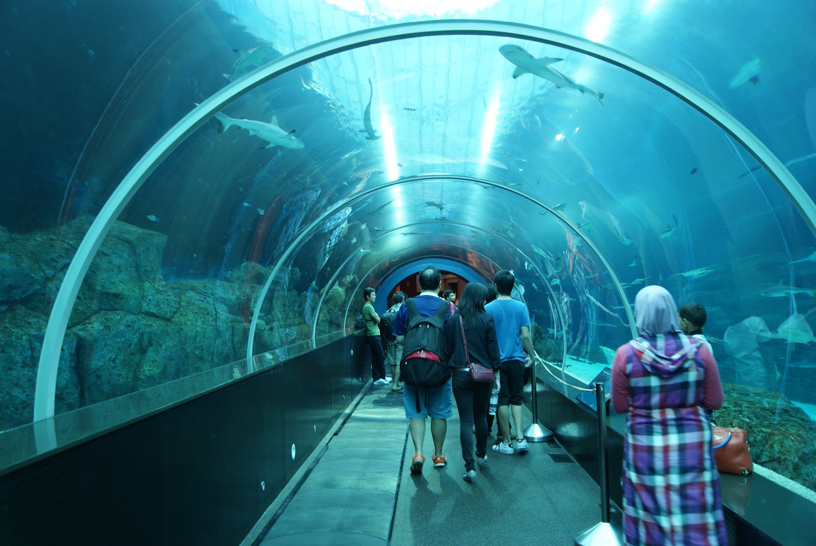 S.E.A. Aquarium. Image courtesy of Wikimedia Commons