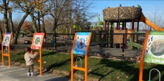 Gallup Park Flutter & Wow Museum Projects