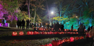 All Hallows Illumination