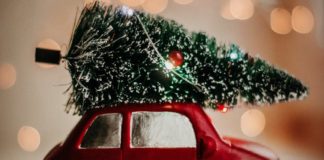 christmas tree drop off