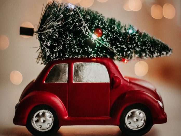 christmas tree drop off