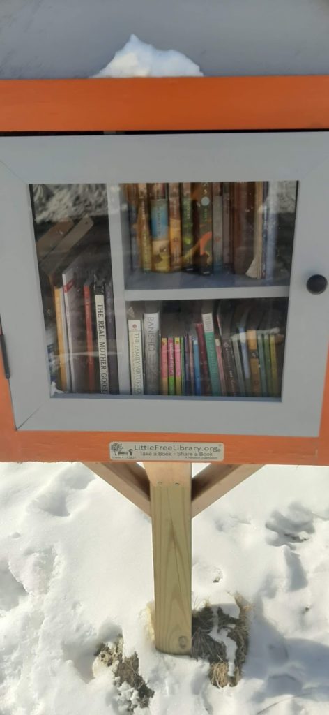 little libraries starwick
