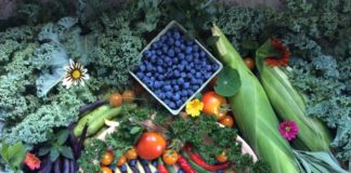 Chelsea Community Garden