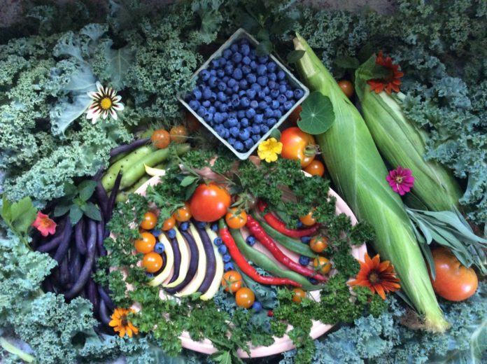 Chelsea Community Garden