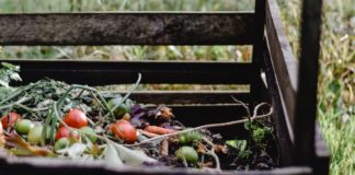 Curbside Compost Collection is to begin in Ann Arbor on April 5. Here's what you need to know about curbside compost pickup.