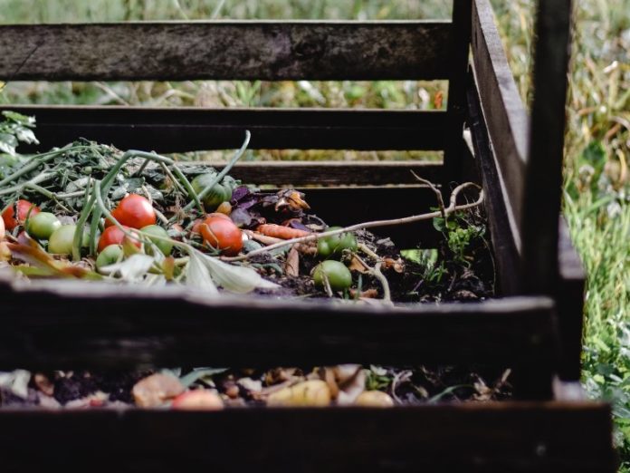 Curbside Compost Collection is to begin in Ann Arbor on April 5. Here's what you need to know about curbside compost pickup.