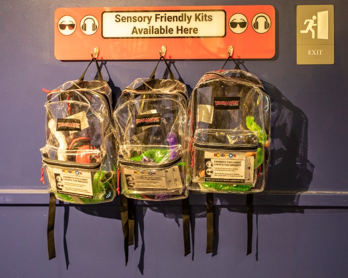 ann arbor hands on museum