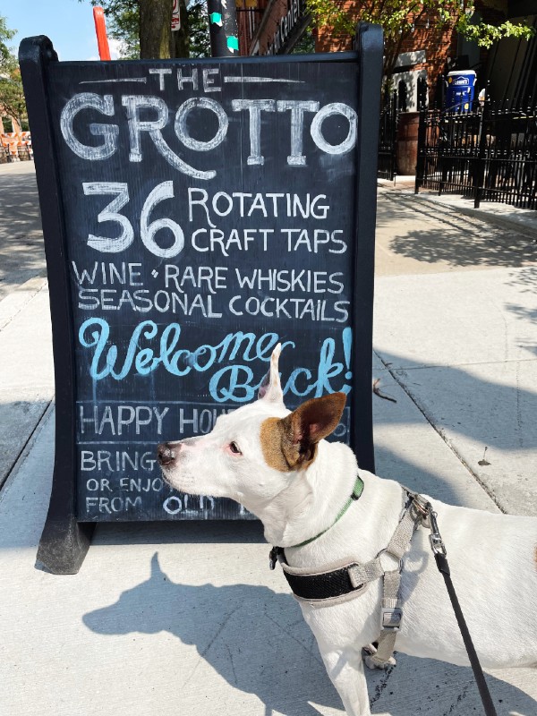 dog friendly