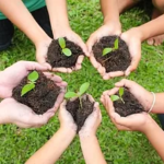 Ann Arbor Rec and Ed