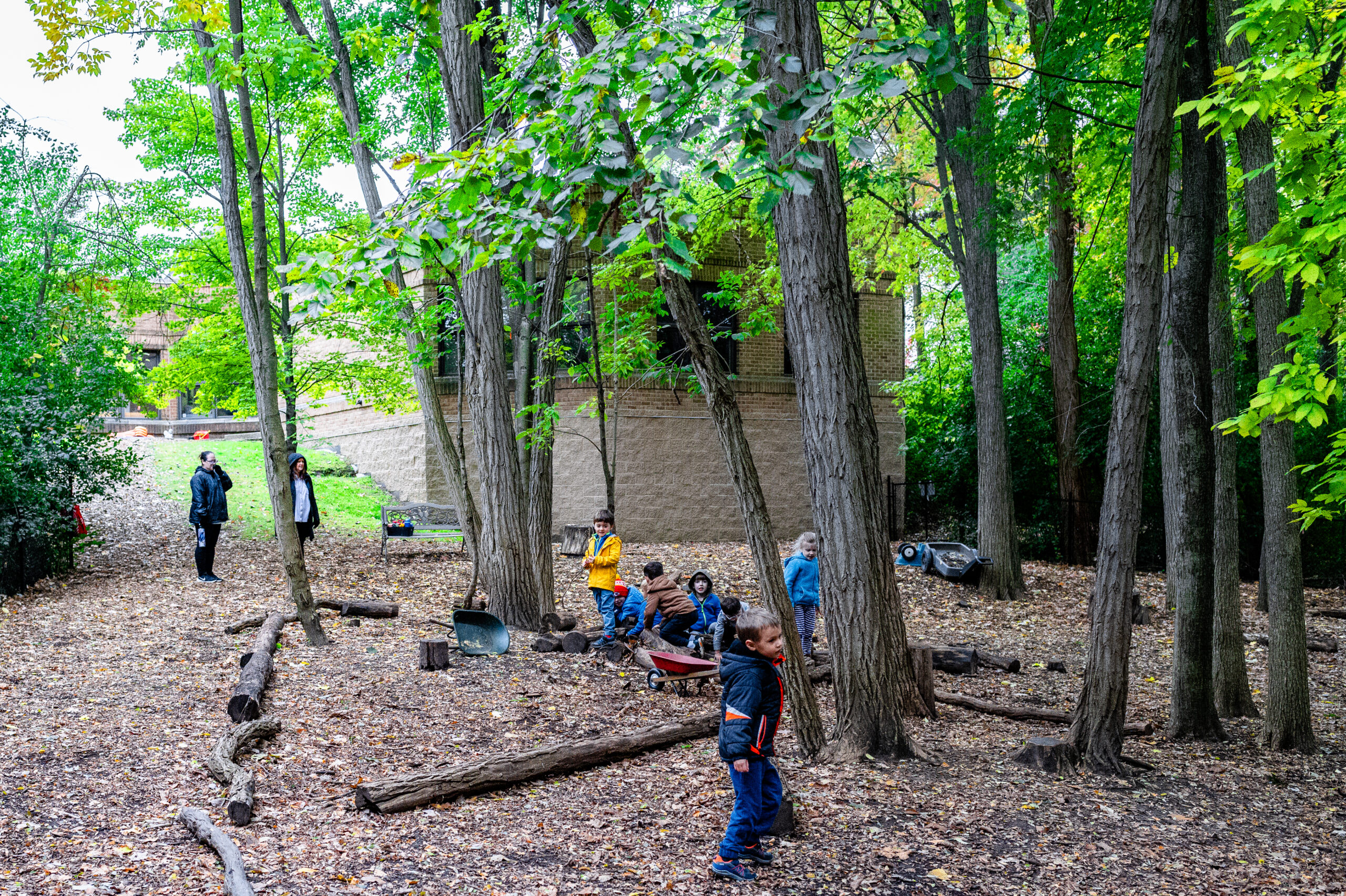 Children playing in a woodland nature area