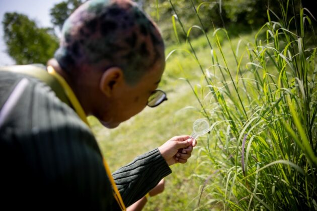 Youngster inspecting plants