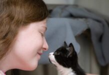 Kittens being adopted by young girl
