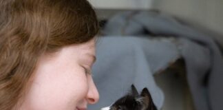 Kittens being adopted by young girl