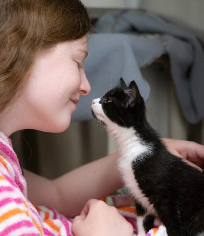 Kittens being adopted by young girl