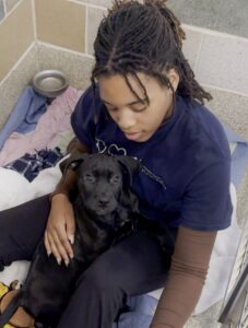 Young lady adopting a dog