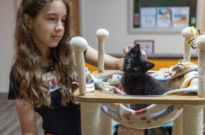 Cute kitten and young girl