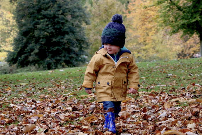 Boy in coat and hat walking in leaves
