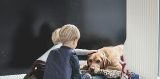 Kids sitting on ground petting dog.