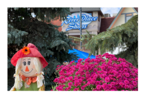 Scarecrow, sign and pink flowers