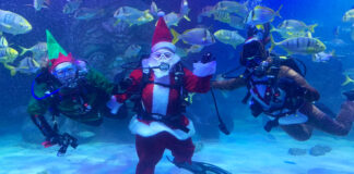 Santa in aquarium