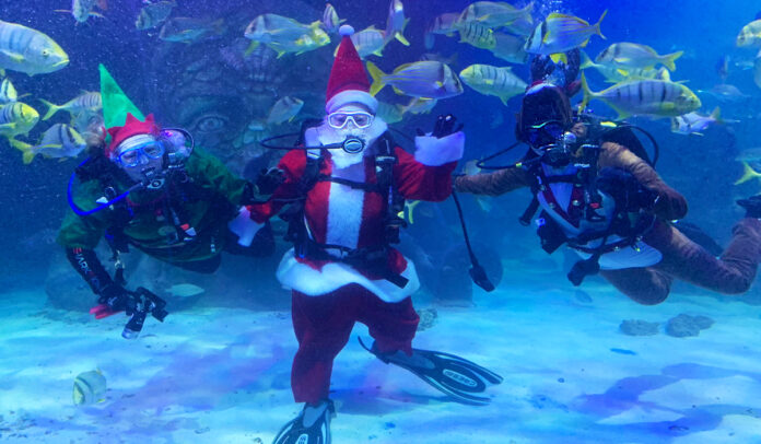 Santa in aquarium