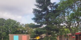 Rain garden at elementary school