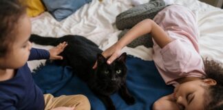 kids petting black cat