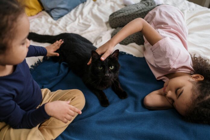 kids petting black cat