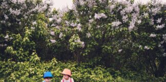 Photo of 2 kids reading under a tree