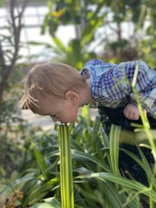 Toddler smelling flowers
