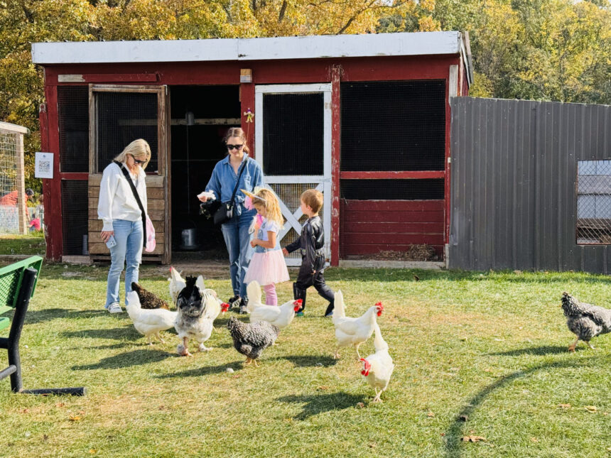 Ann Arbor Field Trip Guide 2026
