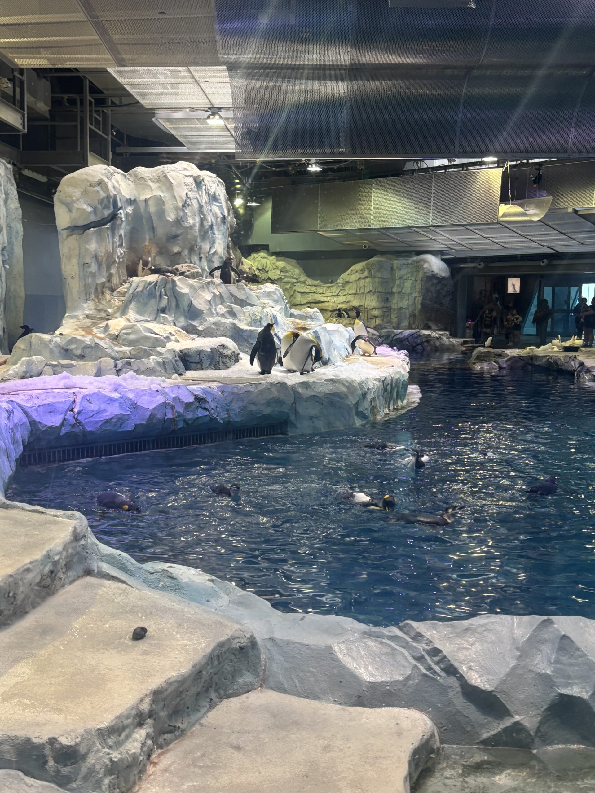 Local zoos and accessibility