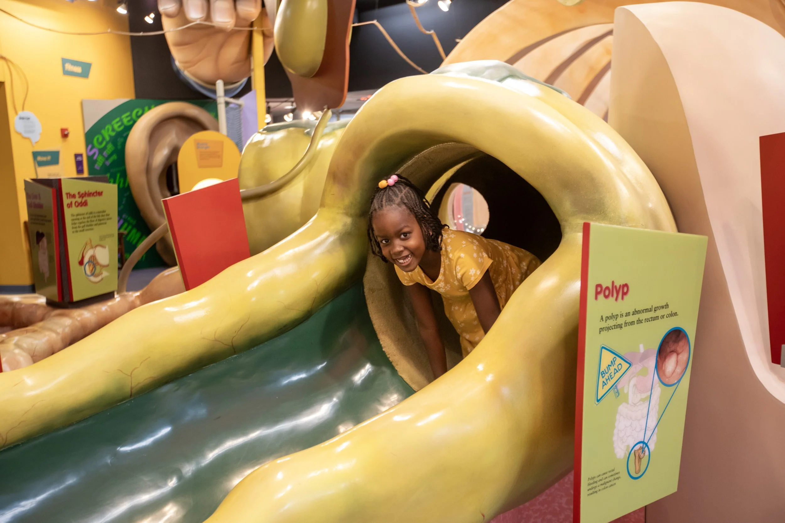 Ann Arbor Hands-On Museum and Trinity Health Michigan Now Booking School Visits to Health Exploration Station