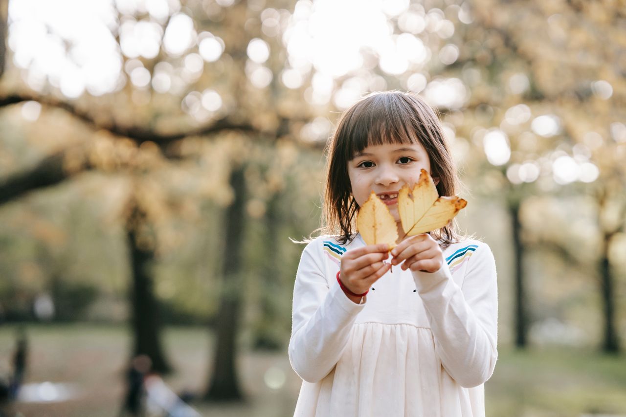 Fall Photo Contest